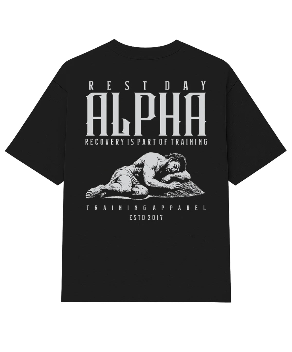 Kit 5 Camisetas Oversized Day Performance