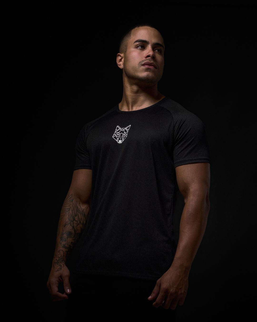 Camiseta Dry Fit Alpha Co preta masculina com tecnologia anti-suor