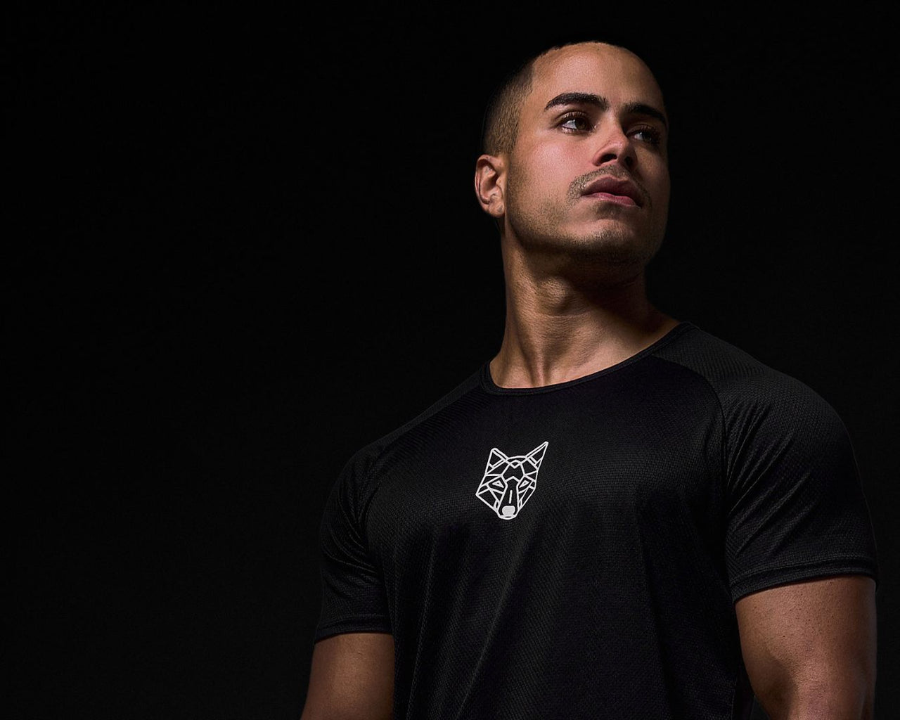 Camiseta Dry Fit Alpha Co preta masculina com tecnologia anti-suor