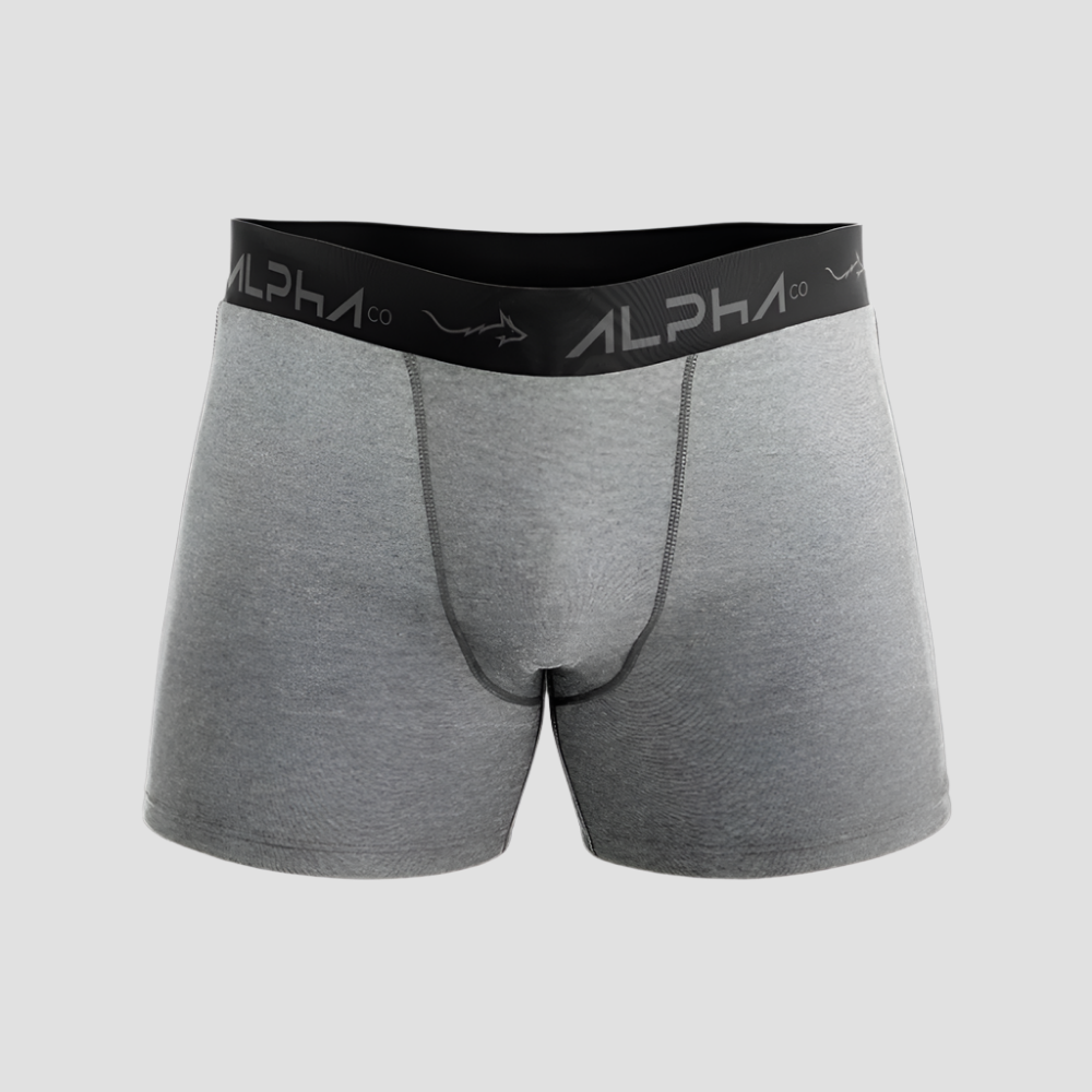 Kit 5 Cuecas Boxer Cotton Mescla Cinza - Alpha