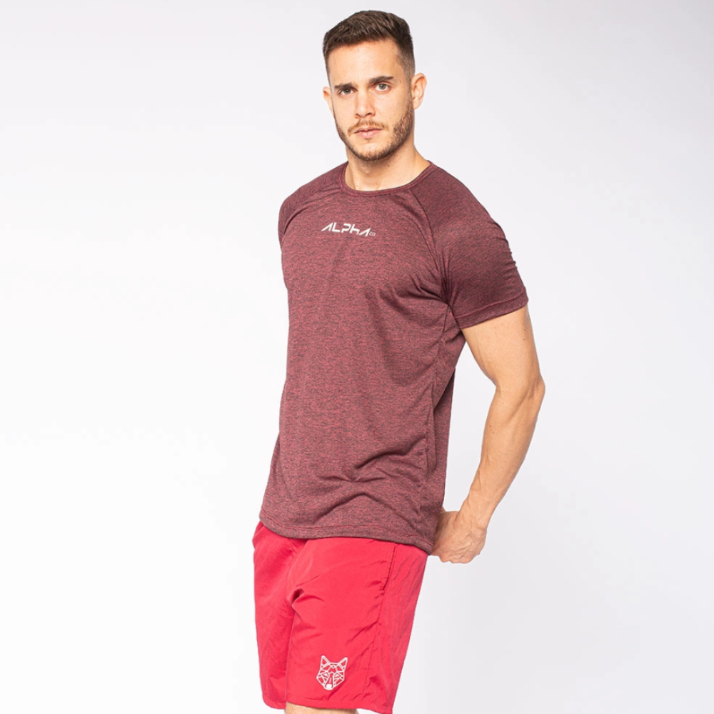 Kit 5 Camisetas Dry Fit New Fluid