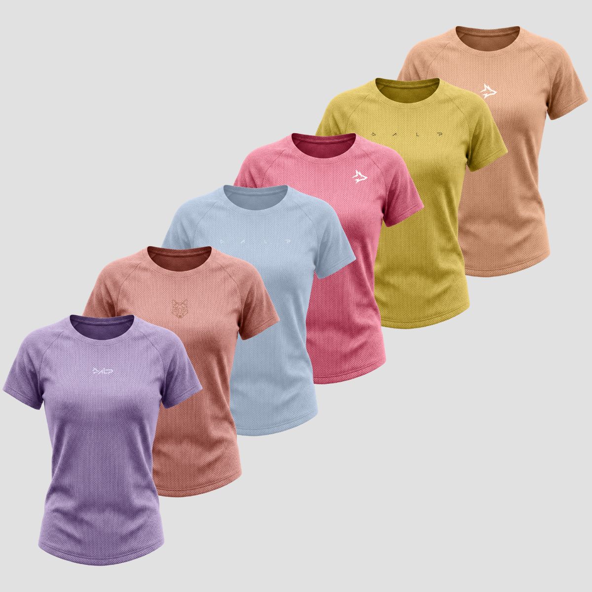 Kit 6 Camisetas Dry Feminina de Academia