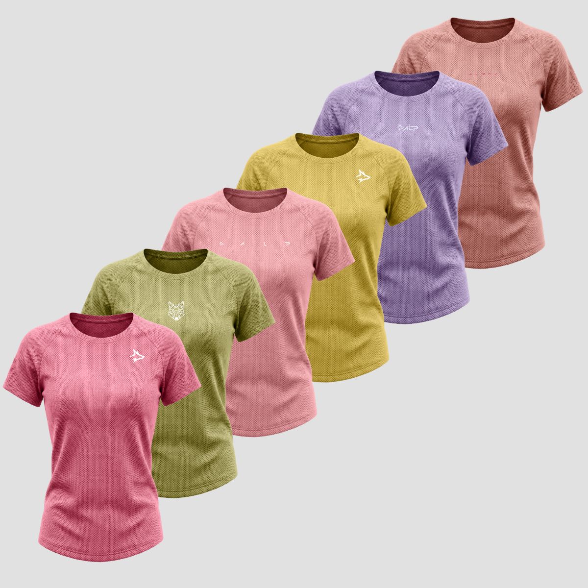 Kit 6 Camisetas Dry Feminina: Treino todos os dias