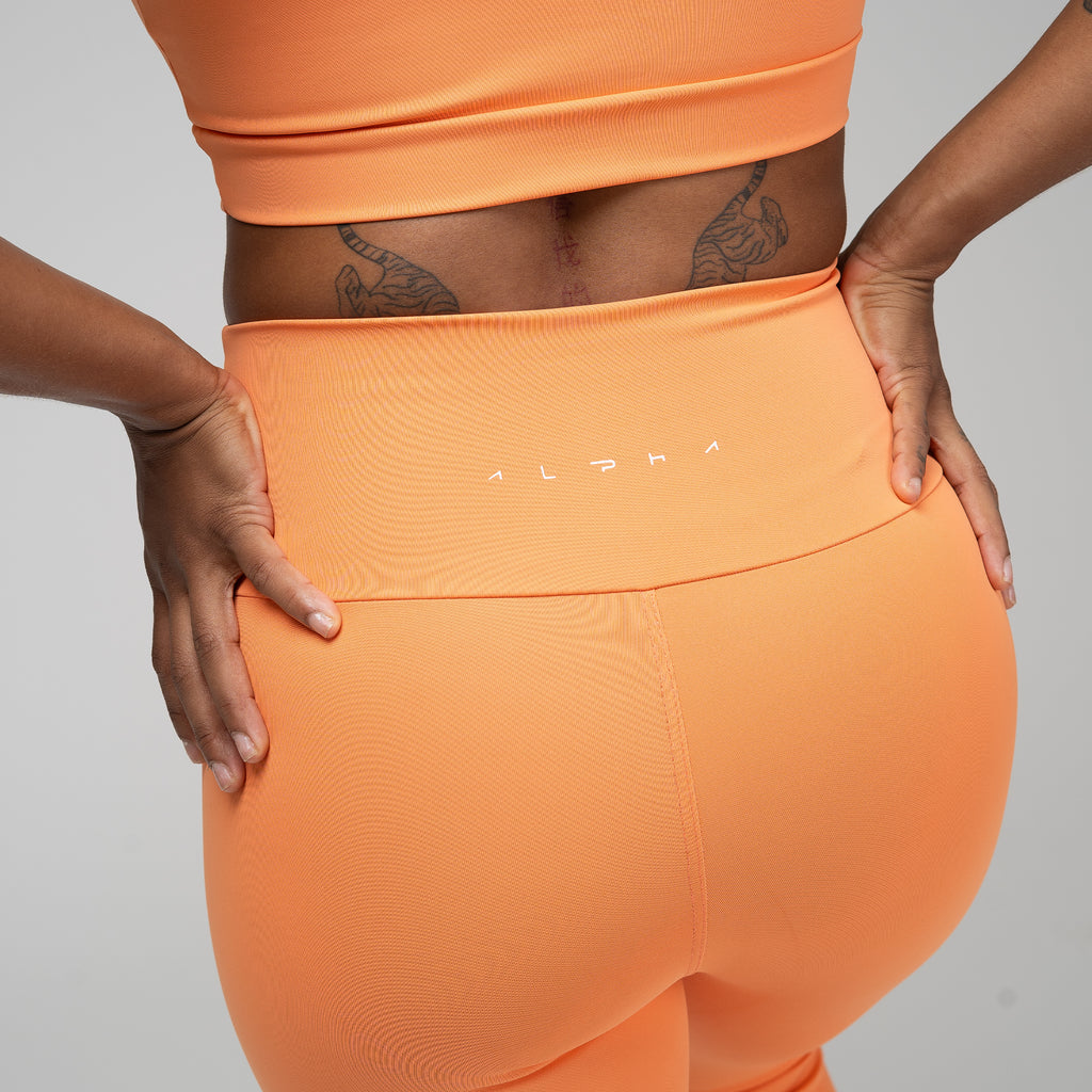 Conjunto Basic Feminino Top e Calça - Lupus Laranja Damasco
