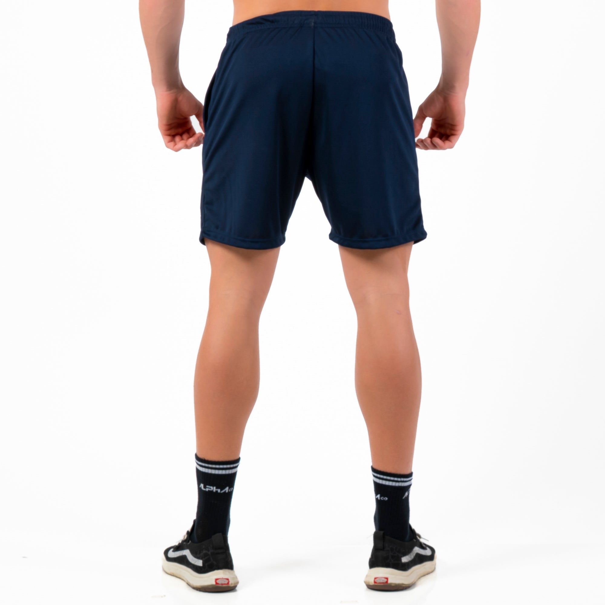 Bermuda Dry Lupus Marinho