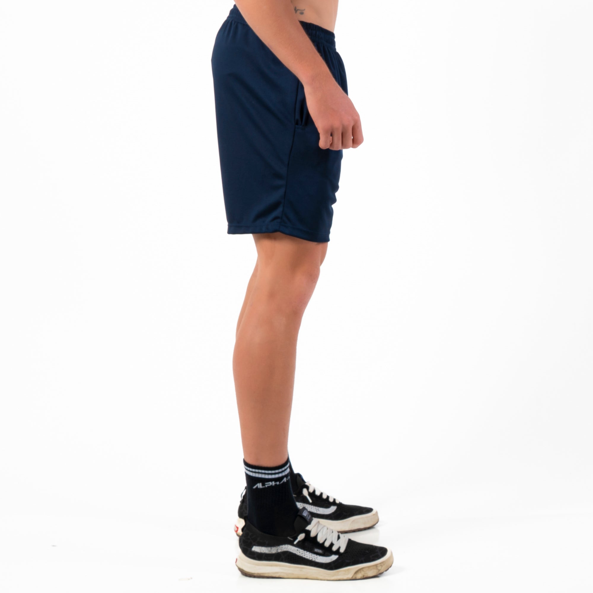 Bermuda Dry Lupus Marinho