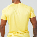 Camiseta Dry Fit Brasão Amarelo Bandeira