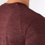 Camiseta Dry Fit Light Lupus Mescla Vinho
