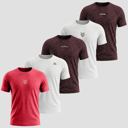 Kit 5 Camisetas Dry Fit Alpha Performance Máxima