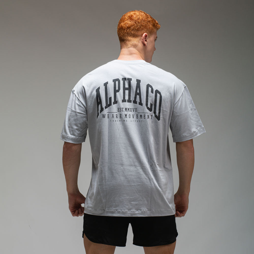 Camiseta Oversized Heavy Cinza